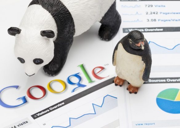 Google Panda and Google Penguin are two of the most important updates to the Google algorithm