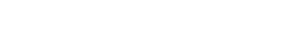 WCN Digital Logo | Indianapolis Digital Marketing Agency