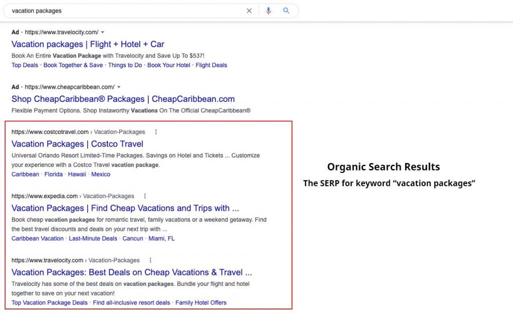 Example of Organic Search Results on Google for the term Vacation Packages